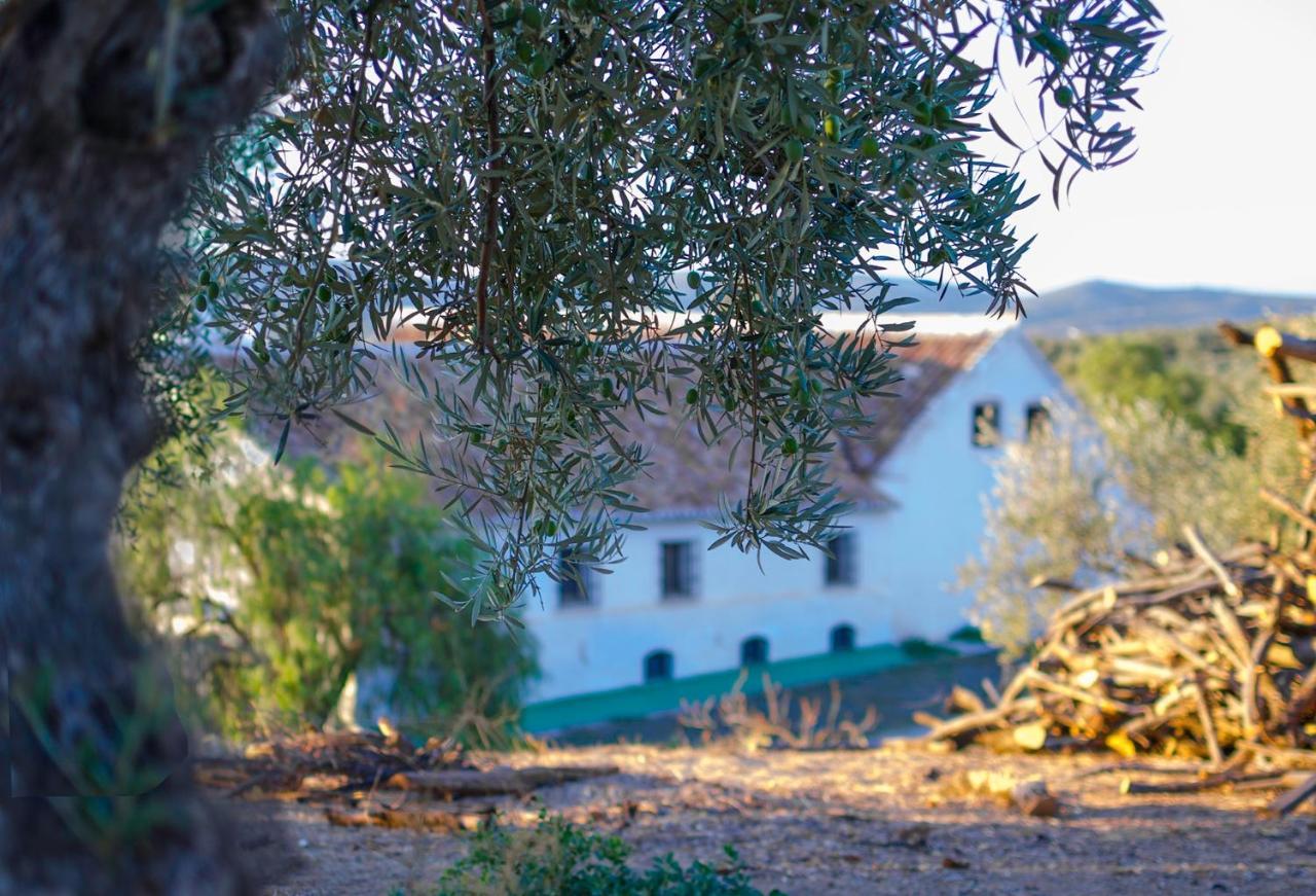Villa Cortijo Alzamigaja Archidona Exterior foto
