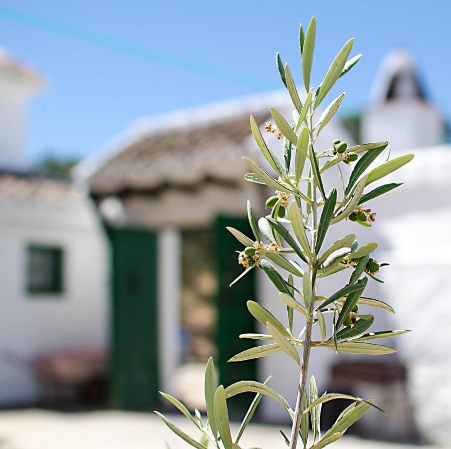 Villa Cortijo Alzamigaja Archidona Exterior foto